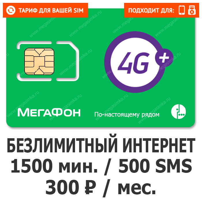 Мегафон Эсклюзив 300