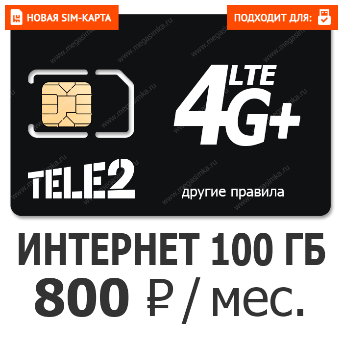 t2biznes800