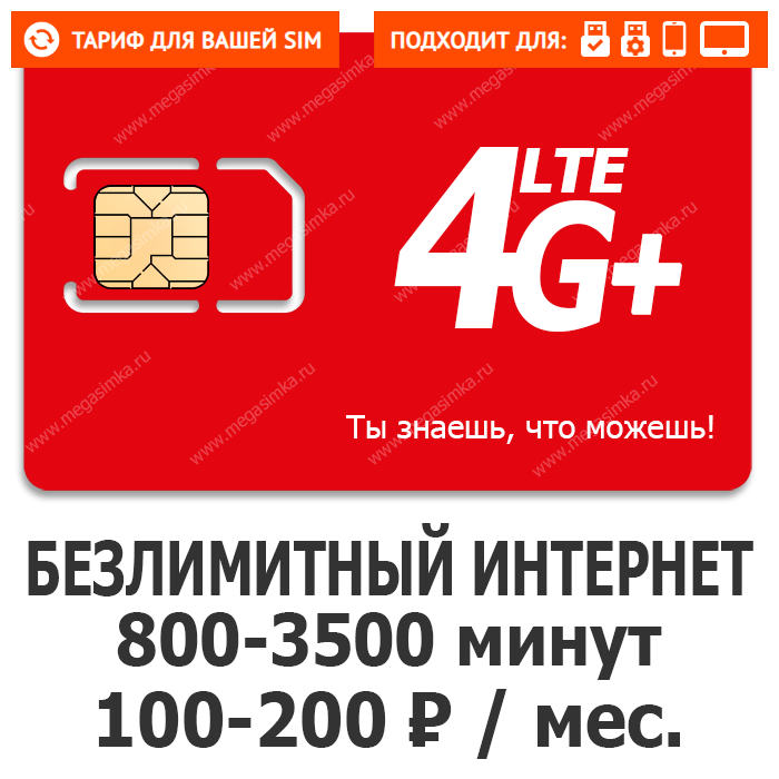 sotkanew0326