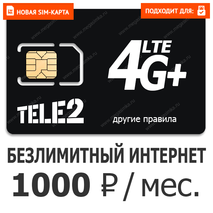 2xltele1000